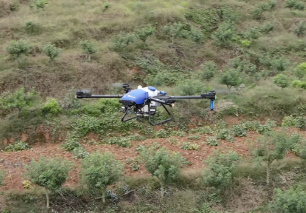 Pimenta Sichuan Aumento de 10% na Produção Usando Drones Agrícolas EAVISION
