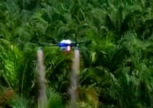Drones agrícolas chineses, vão ao sudeste da Ásia para pulverizar!
