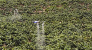 Fornecedores de materiais agrícolas no distrito de árvores frutíferas se transformam em serviços de drones agrícolas
