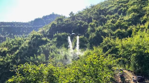 Drone Agrícola EAVISION ajuda a controlar pragas de pêra de Nanguo
