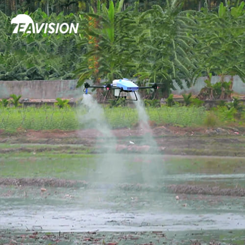 gerenciamento e proteção de verão de campo de arroz de pulverização por drone para melhorar a eficiência
