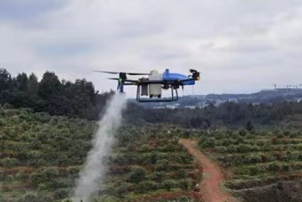 hunan árvore frutífera montanhosa usa drone para proteção de plantas
