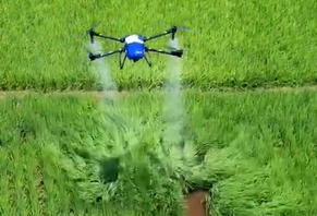 Drone agrícola de alta precisão pulveriza campo de arroz com repelente de insetos
