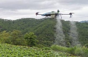 EAVISION Spray de drone para proteção de plantas agrícolas em campos de tabaco
        