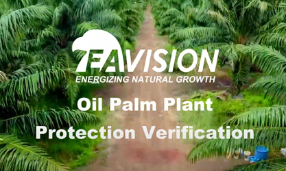 Verificação de proteção de planta de óleo de palma de pulverizador drone