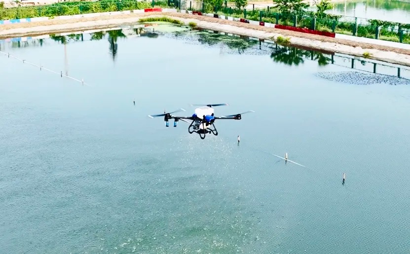 Os caranguejos peludos do Lago Yangcheng também exploram a 